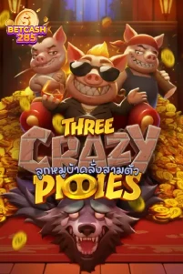 three crazy pig